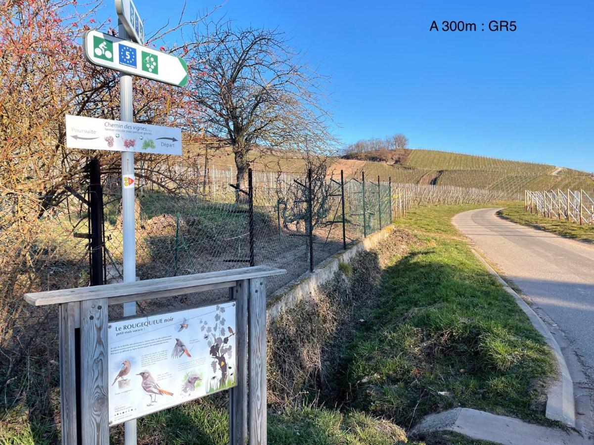 Le Refuge Du Rempart Dambach-la-Ville
